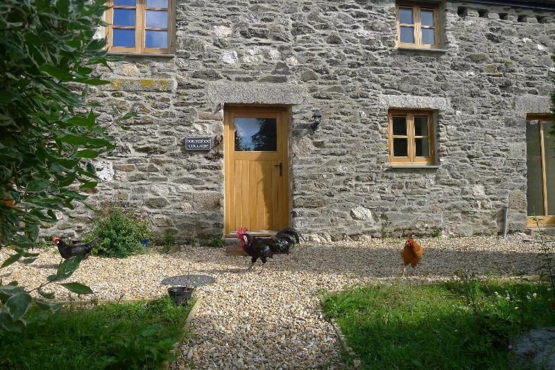 Tuell Farm Cottages 塔维斯托克 外观 照片