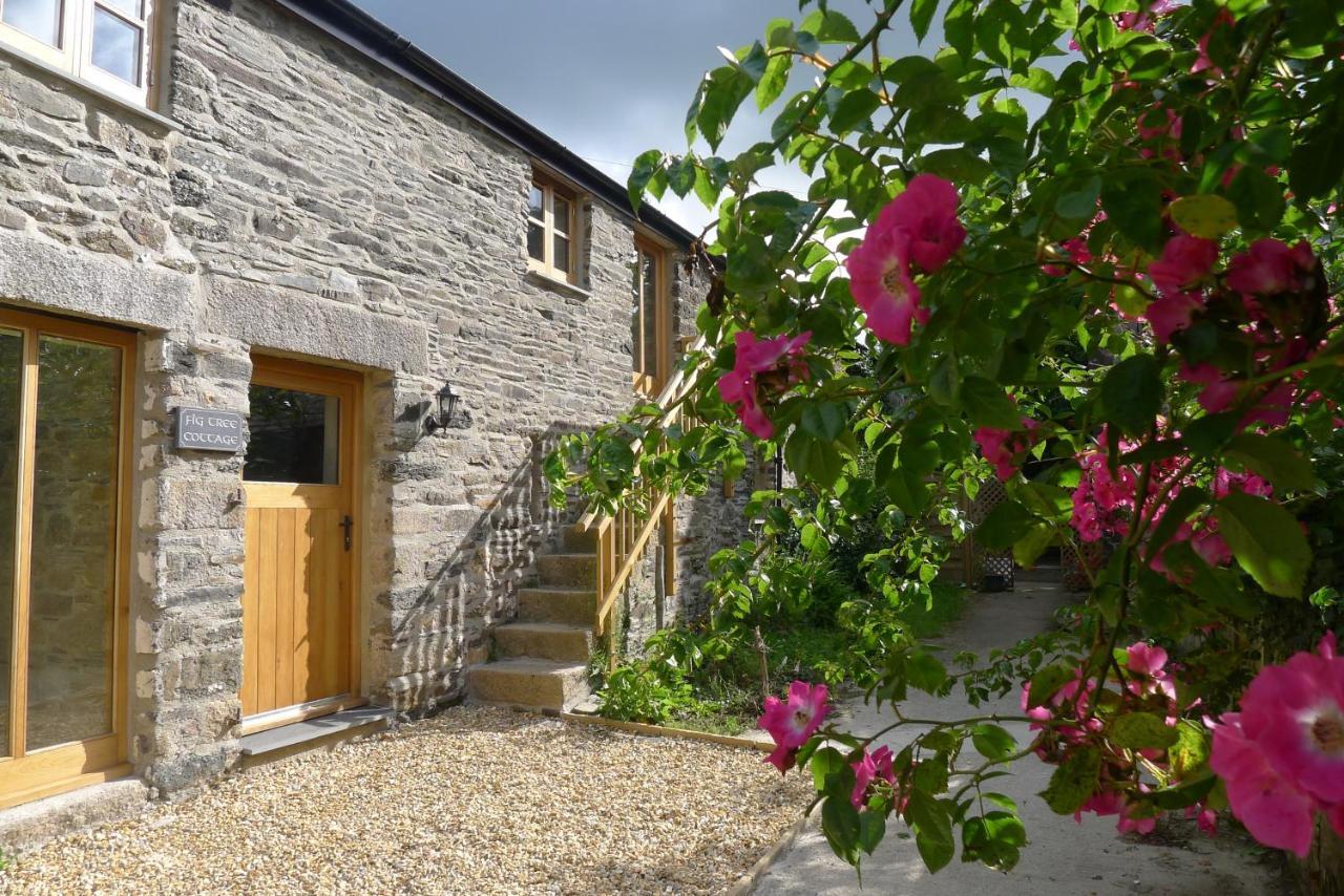 Tuell Farm Cottages 塔维斯托克 外观 照片